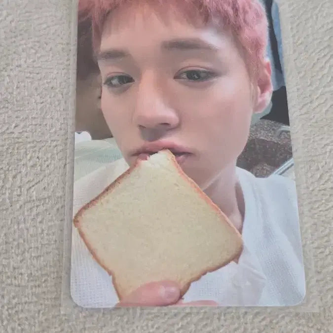 [BUNJANG] Park Ji Hoon Bakery Photocard / 박지훈 팝업 식빵 포카