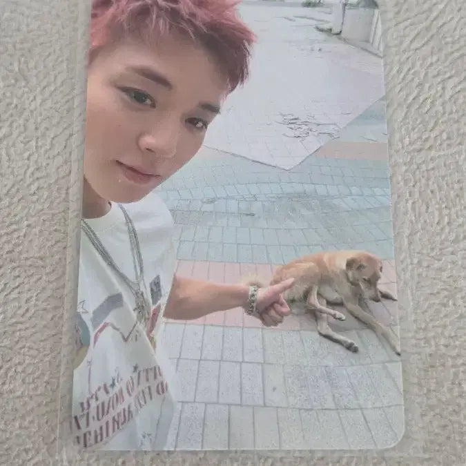 [BUNJANG] Park Ji Hoon Popup Photocard / 박지훈 팝업 포카