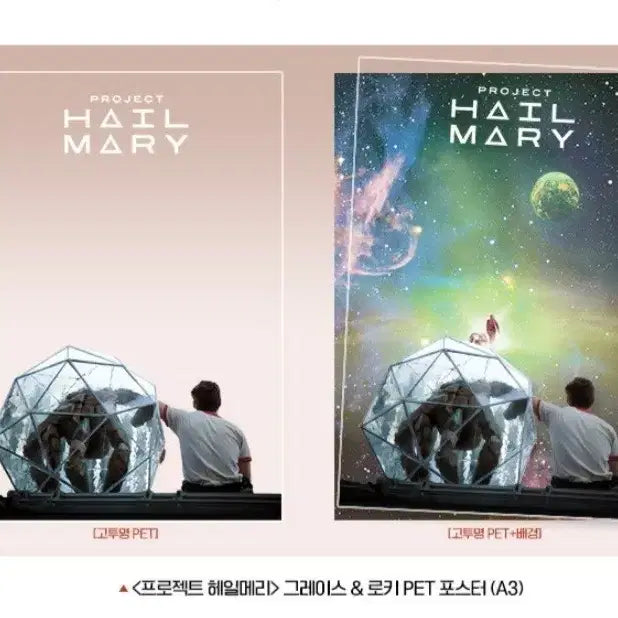 [BUNJANG] Hail Mary Project PET Poster / 최저가)헤일메리 프로젝트 pet 포스터