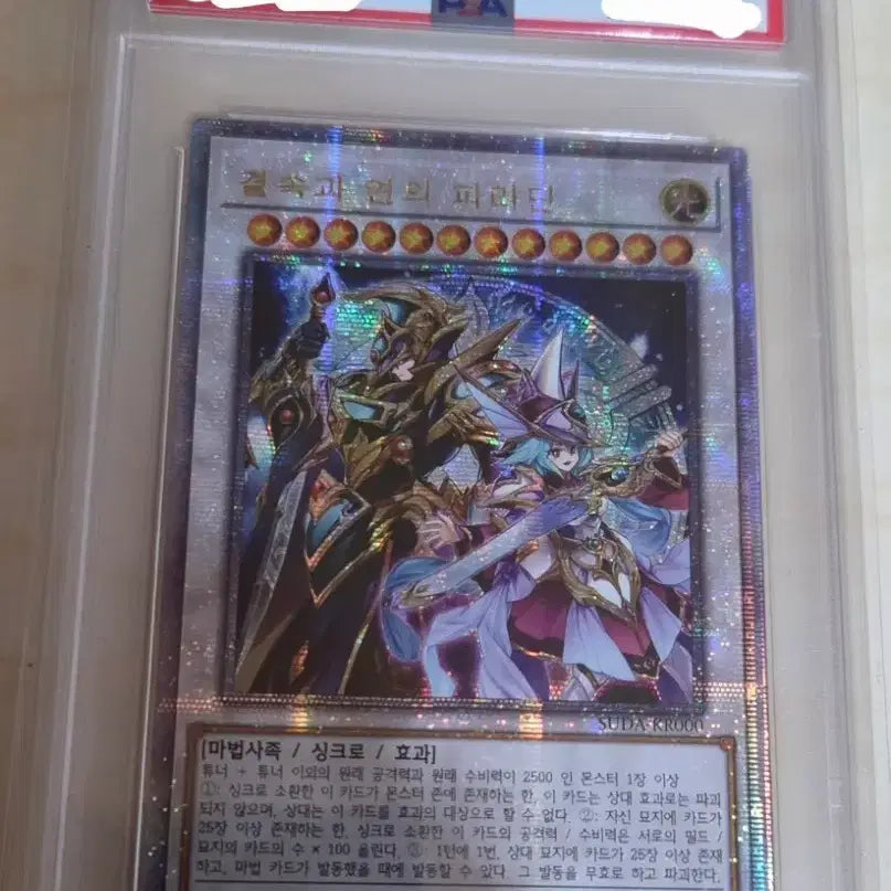 [BUNJANG] Yu-Gi-Oh! PSA 9 Binding Vow Paladin / 유희왕 psa9 결속과연의파라딘