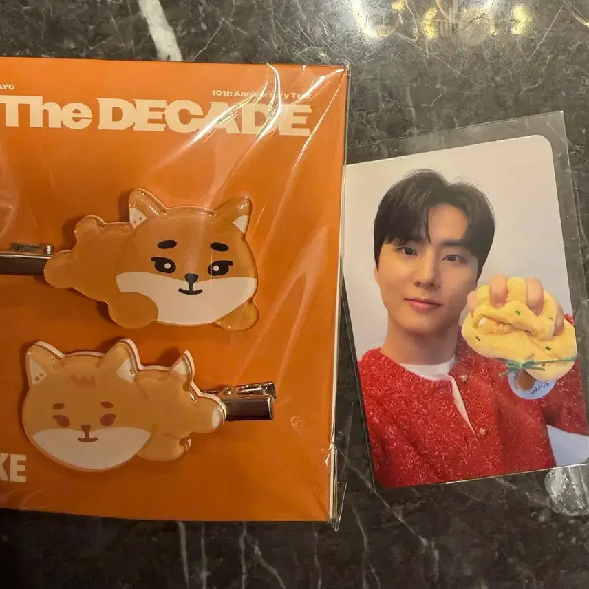 [BUNJANG] K+Photocard Denny Mals Hairpin / 케 + 포카 데니멀즈 헤어핀