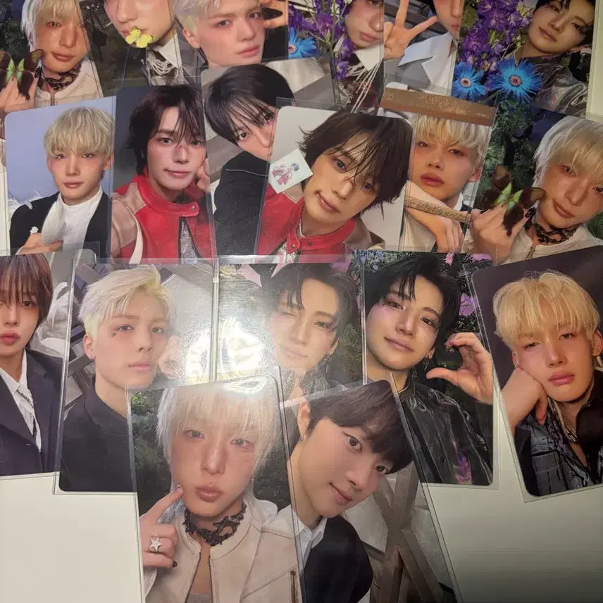 [BUNJANG] ENHYPEN Back to Life Bundle Set / 앤팀 백투라이프 포카 일괄 양도