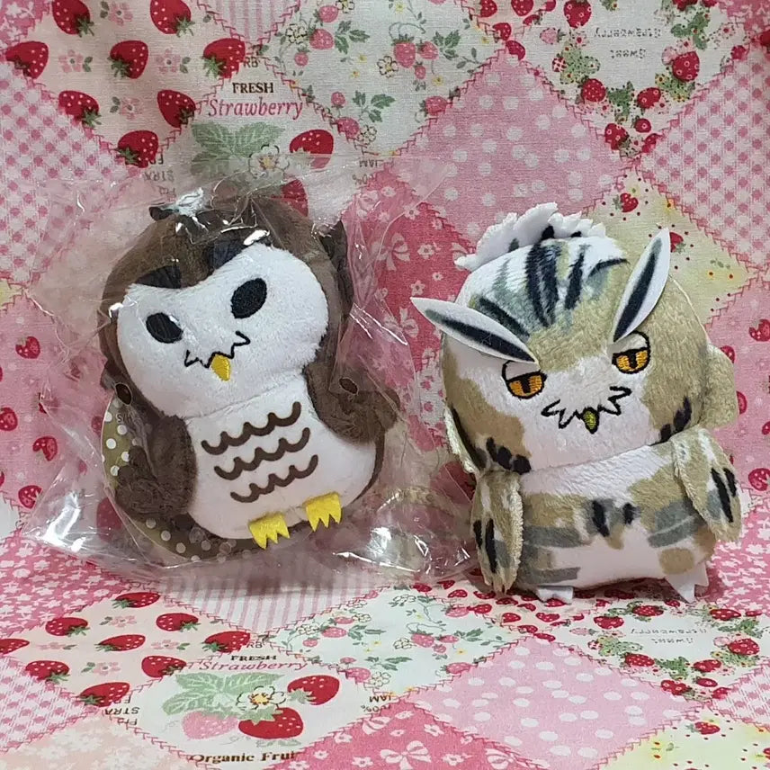 [BUNJANG] Haikyuu!! Akaashi Keiji Bokuto Koutarou Plush Keychains Bundle / 하이큐 아뺌이 붱쿠토 인형 키링 2개 일괄 개별 (아카아시 보쿠토)