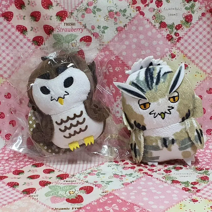 [BUNJANG] Haikyuu!! Akaashi Keiji Bokuto Koutarou Plush Keychains Bundle / 하이큐 아뺌이 붱쿠토 인형 키링 2개 일괄 개별 (아카아시 보쿠토)