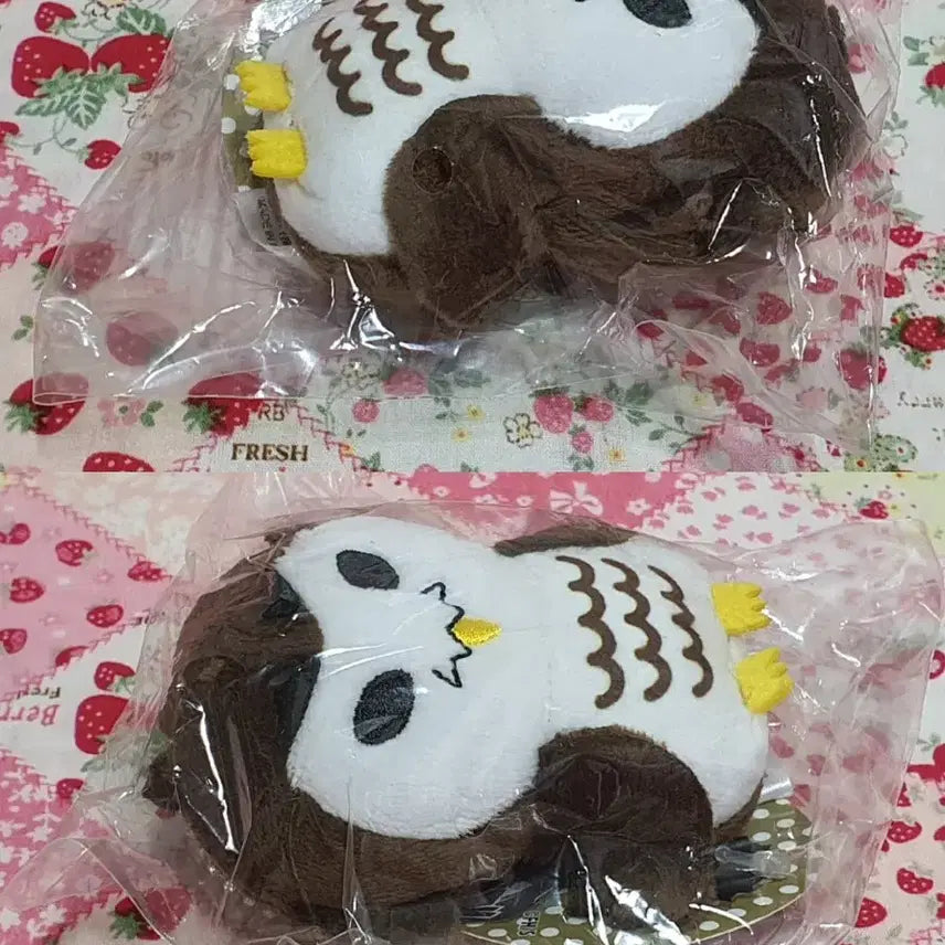 [BUNJANG] Haikyuu!! Akaashi Keiji Bokuto Koutarou Plush Keychains Bundle / 하이큐 아뺌이 붱쿠토 인형 키링 2개 일괄 개별 (아카아시 보쿠토)