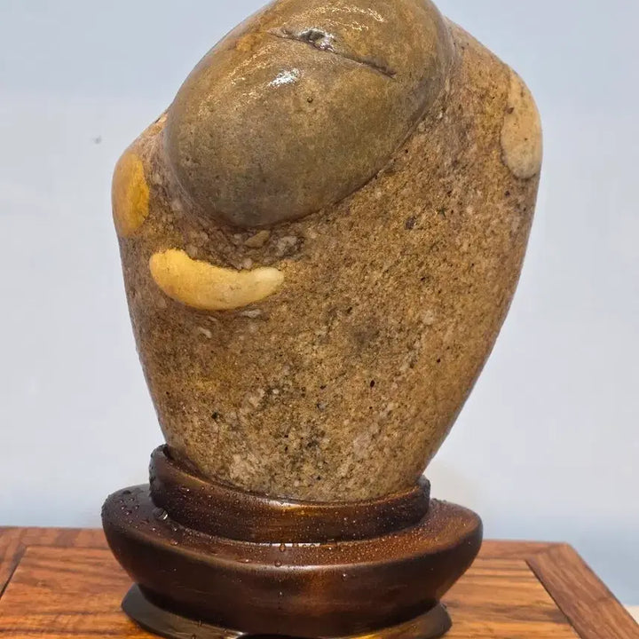 [BUNJANG] Namhangang Point Stone Display Stone / 26051613 옹골지게 포인트가 박힌 남한강 포인트석 수석 팝니다