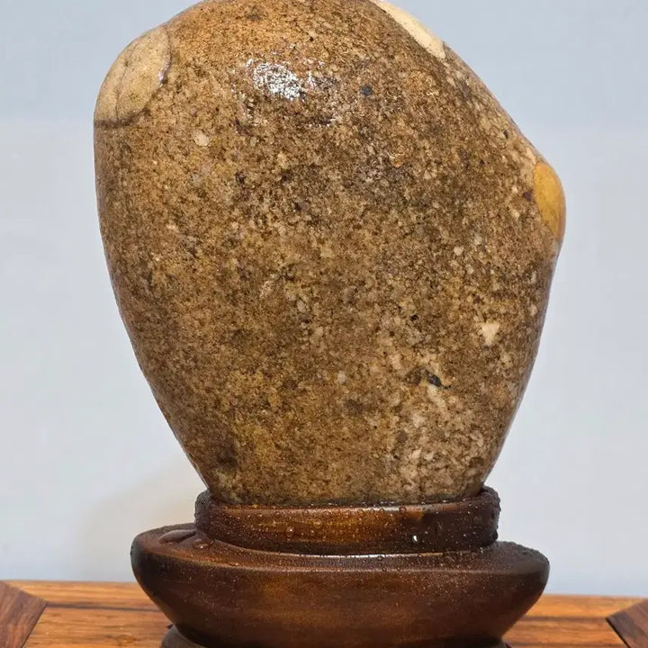 [BUNJANG] Namhangang Point Stone Display Stone / 26051613 옹골지게 포인트가 박힌 남한강 포인트석 수석 팝니다