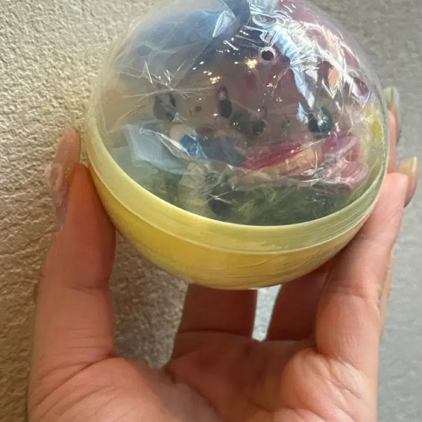 [BUNJANG] Pokemon Maimai Hairpin (Sealed) / 포켓몬 플러시 마이농 헤어핀 (미개봉)