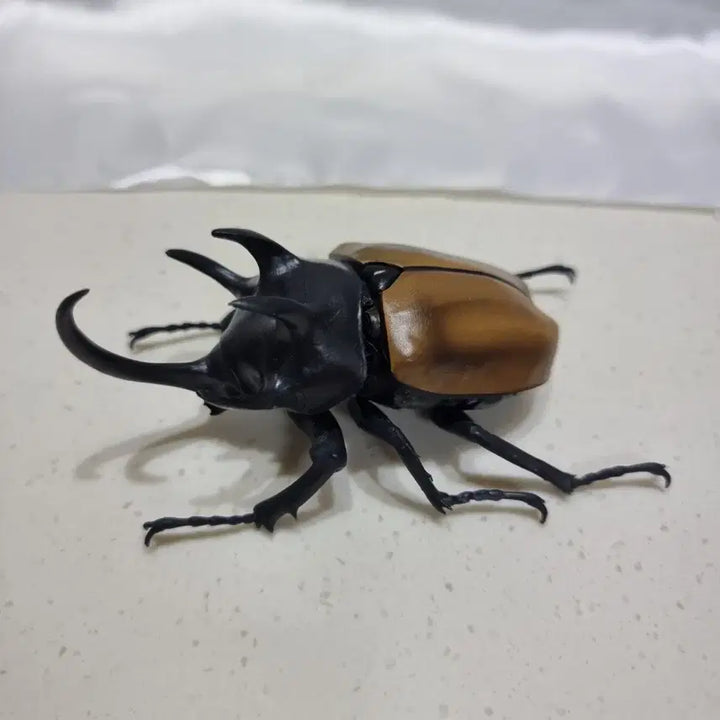 [BUNJANG] Bandai Creatures Great Beetle Vol. 2 Five-Horned Rhinoceros Beetle Figure / 반다이 생물대도감 장수풍뎅이 2탄 오각뿔장수풍뎅이