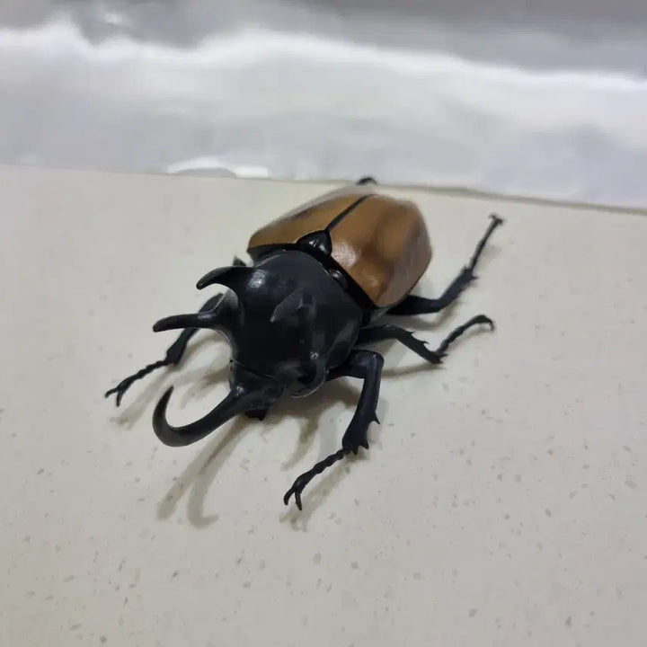 [BUNJANG] Bandai Creatures Great Beetle Vol. 2 Five-Horned Rhinoceros Beetle Figure / 반다이 생물대도감 장수풍뎅이 2탄 오각뿔장수풍뎅이