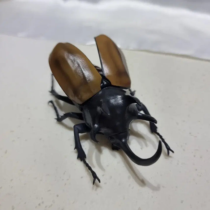 [BUNJANG] Bandai Creatures Great Beetle Vol. 2 Five-Horned Rhinoceros Beetle Figure / 반다이 생물대도감 장수풍뎅이 2탄 오각뿔장수풍뎅이