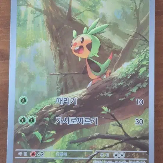 [BUNJANG] Dochimaron AR Card / 도치마론 ar