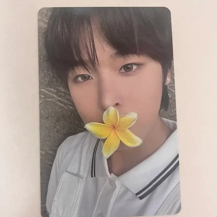 [BUNJANG] NCT WISH Riku Surf Game Machine Photocard / 엔시티 위시 서프 게임기 리쿠 포카 양도 판매