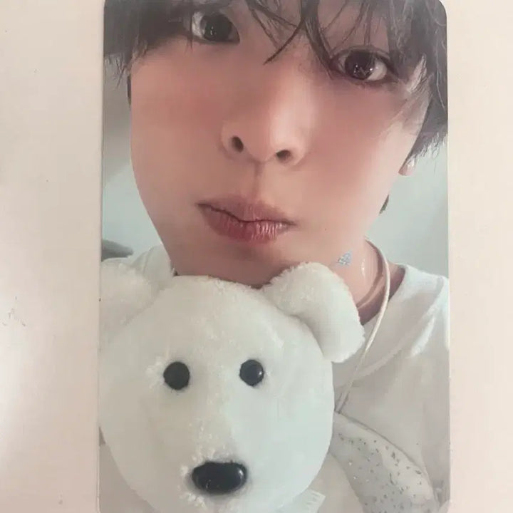 [BUNJANG] NCT WISH Riku Psyche Photocard / 엔시티 위시 스테디 프시케 리쿠 포카 양도 판매