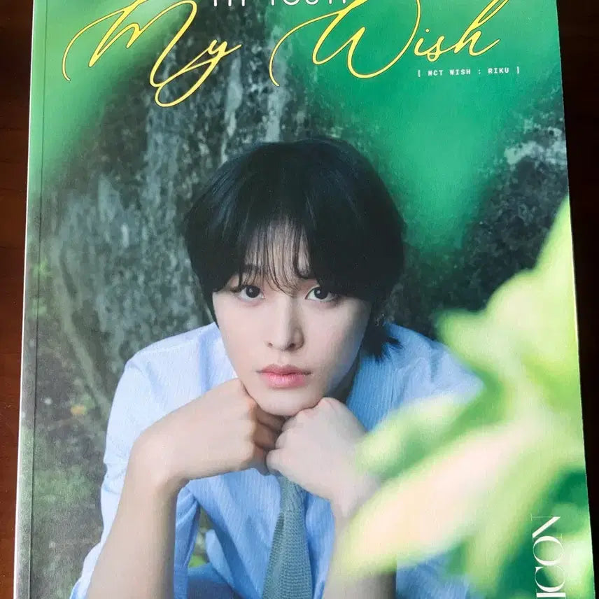 [BUNJANG] Riku Photobook / 리쿠 포토북