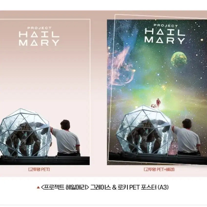 [BUNJANG] Project Hail Mary PET Poster / 프로젝트 헤일메리 PET 9주차 포스터 판매