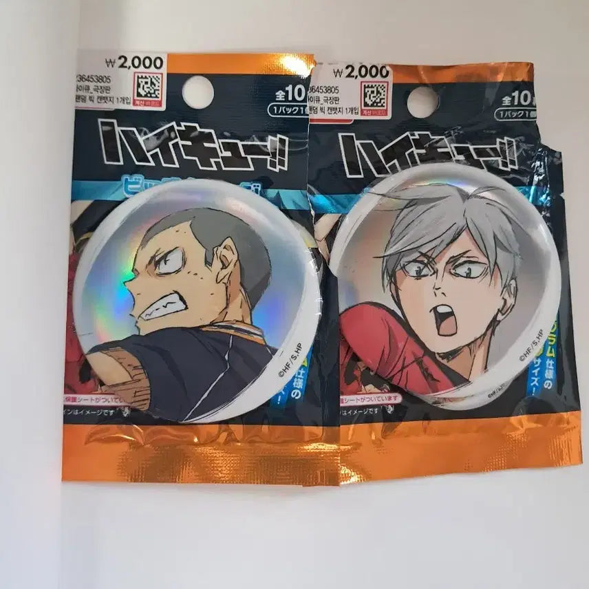 [BUNJANG] Haikyuu!! The Dumpster Battle Daise Tanaka &amp; Lev Haiba Pin Badge Set / 하이큐 쓰결전 다이소 타나카 리에프 핀뱃지