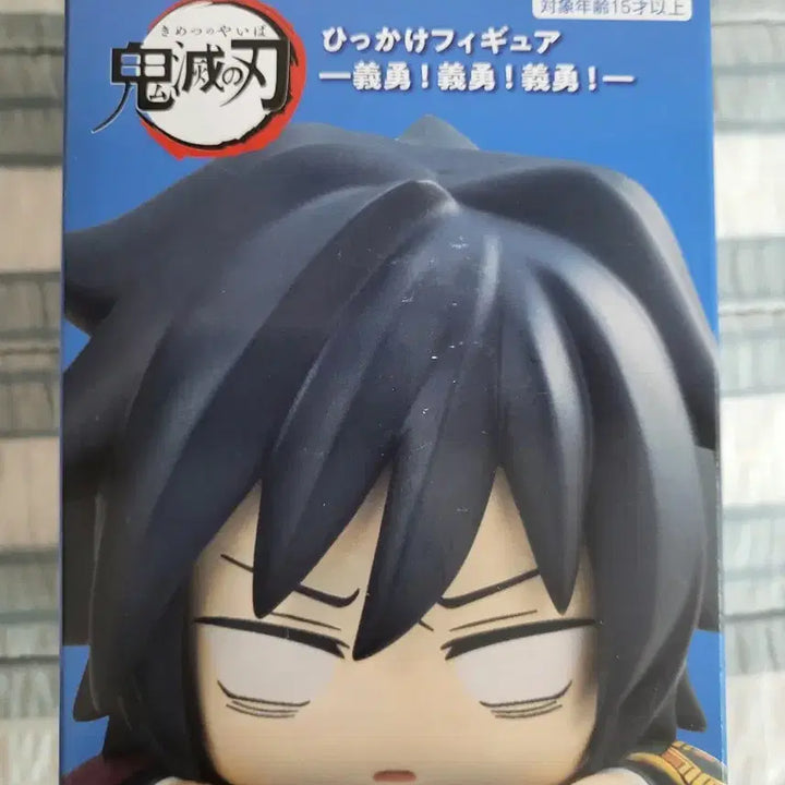 [BUNJANG] Demon Slayer Giyu Tomioka Another Hitcard Sealed / 미개봉 일자입)귀멸의 칼날 기유 어나더 힛카게