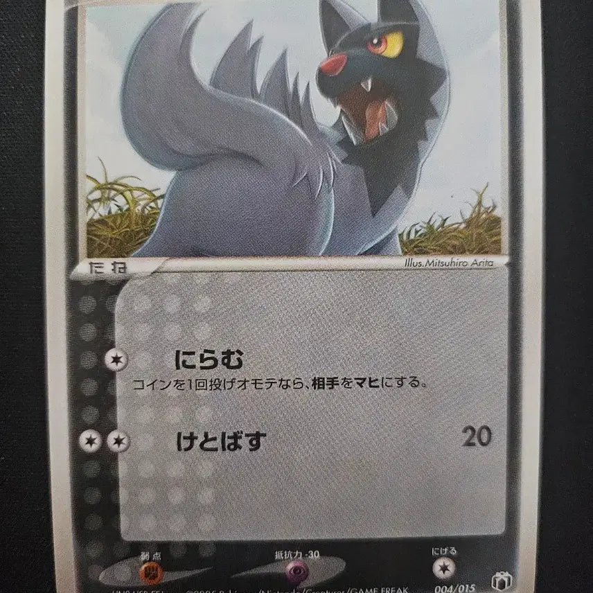 [BUNJANG] 2005 Pokemon Card Poochyena Card / 2005년 포켓몬 카드 포챠나 카드 판매합니다.