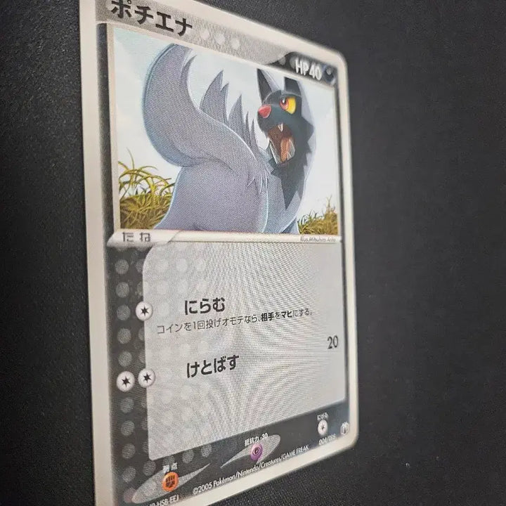 [BUNJANG] 2005 Pokemon Card Poochyena Card / 2005년 포켓몬 카드 포챠나 카드 판매합니다.