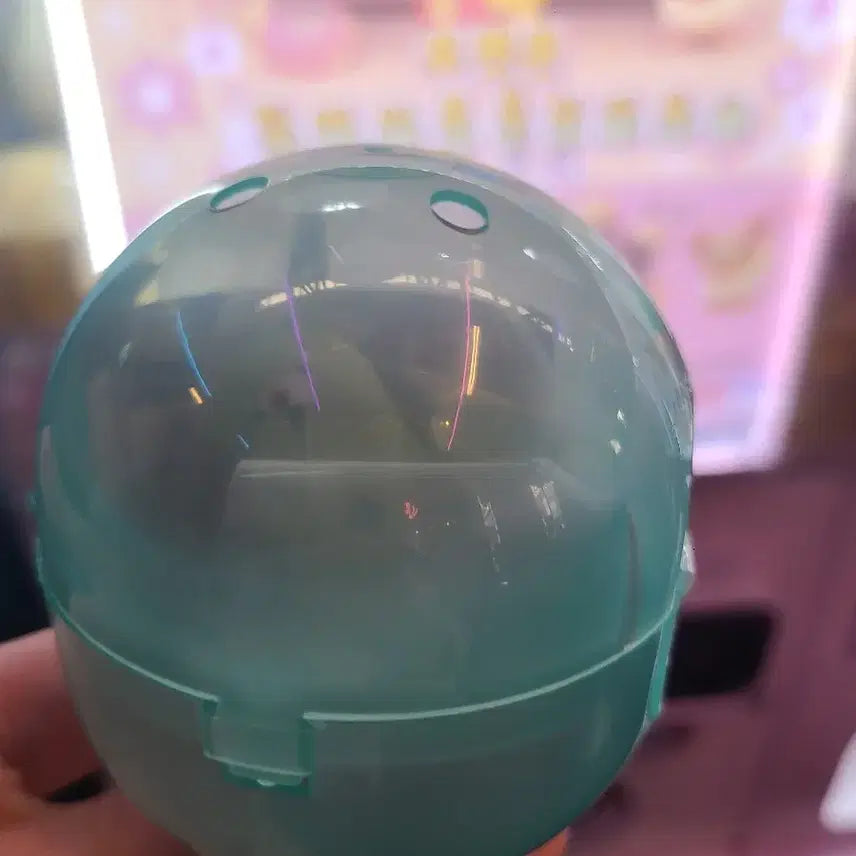 [BUNJANG] Pokemon "Rest at Home" Everlasting Toy / 포켓몬 집에서 푸욱 쉬어요~ 에버라스 판매