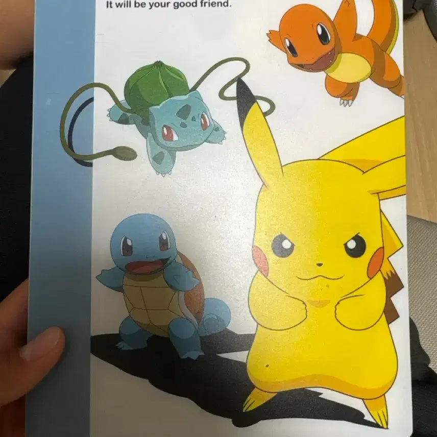 [BUNJANG] Pokemon Card Collection with Album / 포켓몬 카드 및 도감 팔아요~