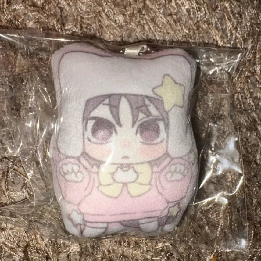 [BUNJANG] BOYNEXTDOOR SungHo DangOh Cushion Keyring (Official Fan Goods) / 보이넥스트도어 비공굿 비공식 통판 성호 당오님 쿠션키링 미개봉