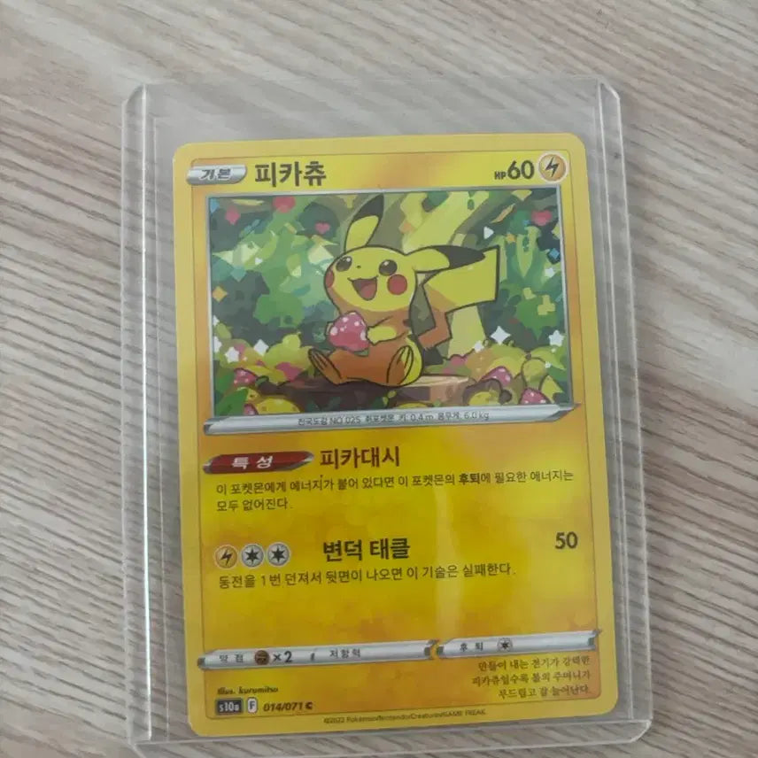 [BUNJANG] Pokemon Pikachu Dark Phantasma / 포켓몬스터 피카츄 다크판타스마