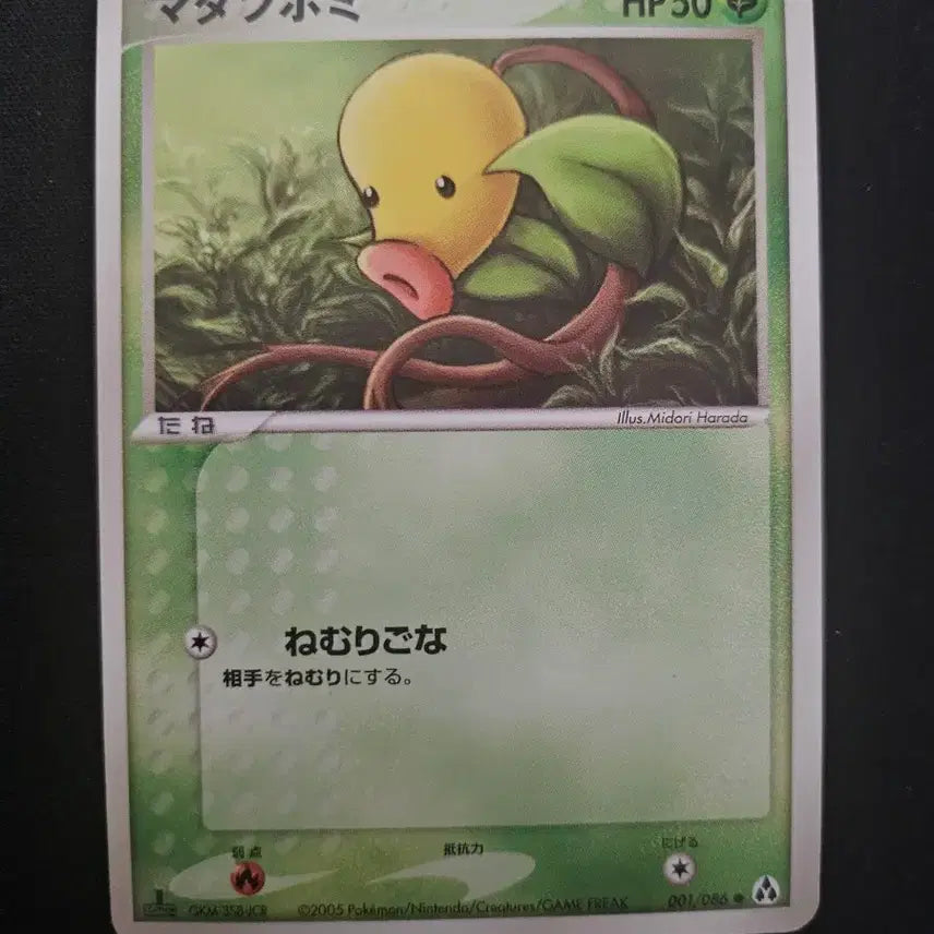 [BUNJANG] 2005 Exeggcute Pokémon Card / 2005년 포켓몬 카드 모다피 카드 판매합니다.