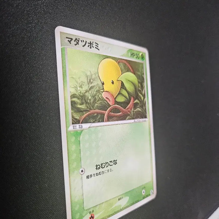 [BUNJANG] 2005 Exeggcute Pokémon Card / 2005년 포켓몬 카드 모다피 카드 판매합니다.