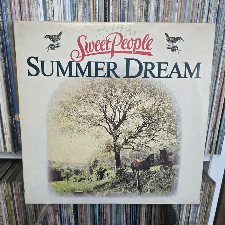 [BUNJANG] Sweet People Summer Dream LP Record / 스위트 피플 Summer Dream LP판