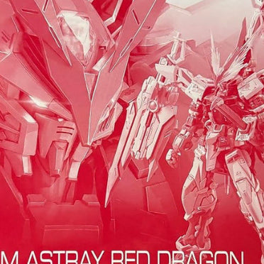 [BUNJANG] Sealed RG Astray Red Dragon / 미개봉 rg 아스트레이 레드드래곤 팝니다