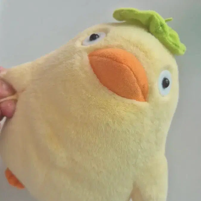 [BUNJANG] Studio Ghibli Original Otori-Sama Plush Doll / 지브리정품 오오토리사마 인형