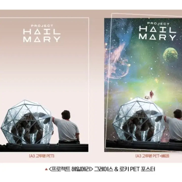 [BUNJANG] Project Hail Mary PET Poster A3 / 프로젝트 헤일메리 PET 포스터 A3 펫포