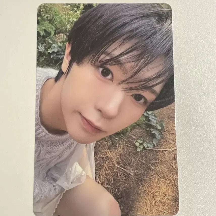 [BUNJANG] NCT WISH Ryo Vixx Mini Eros Version Photocard Set / 엔시티위시 료 빅스미니 에로스 버전 증사 포토카드 세트