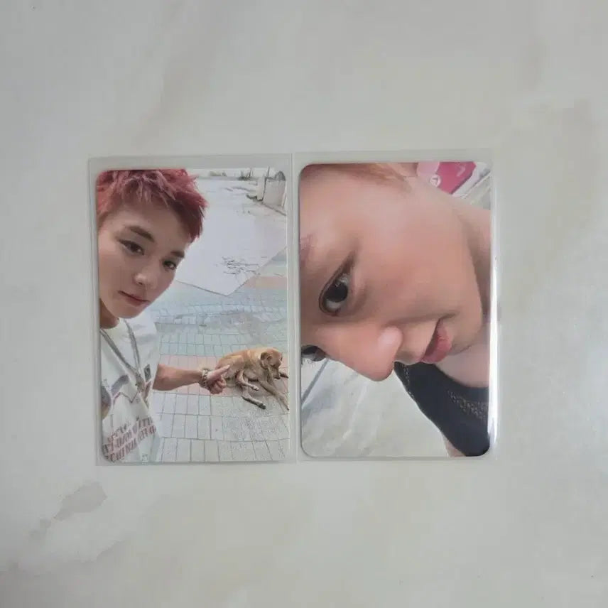 [BUNJANG] Park Ji Hoon Lucky Draw Photocard Bundle Set / 박지훈 앨범 럭드 포카