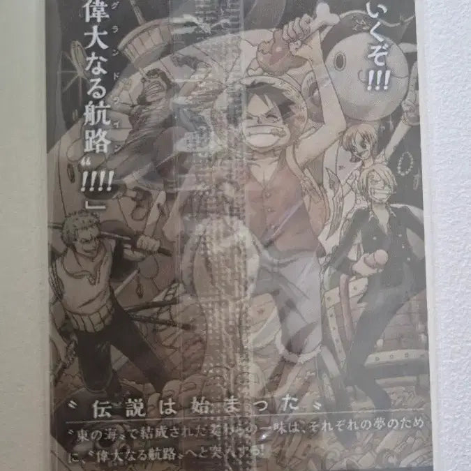 [BUNJANG] One Piece Straw Hat Pirates Wafer Card SEC2 No.6 (Sealed) / 원피스 밀짚모자 해적단 와퍼 카드 미개봉 No.6 SEC2