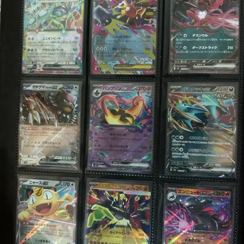 [BUNJANG] Pokemon Precious Collector Box Full Set / 포켓몬 프레셔스 컬렉터박스 풀구성