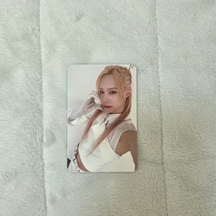 [SOLD OUT] XLOV 엑스러브 비즈니스착 포카 루이