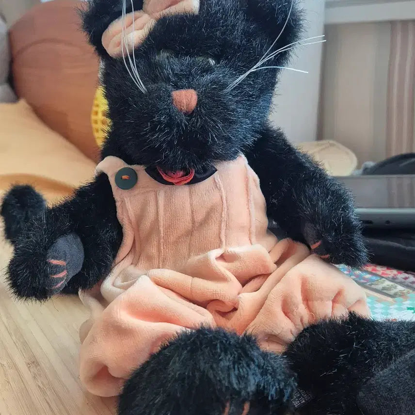 [BUNJANG] Boyds Bears Cat Plush / 빈티지인형 보이즈베어 고양이