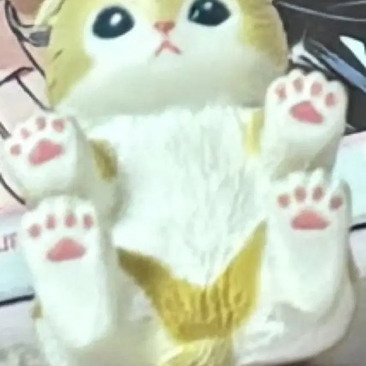 [BUNJANG] Lost Item: Gacha Pouch with Dior Lip Glow, Momo Sand Cat Gacha, and Fairyru Keychain / 홍대에서 잃어버린 물건 찾습니다(5/16).꼭 봐주세요!