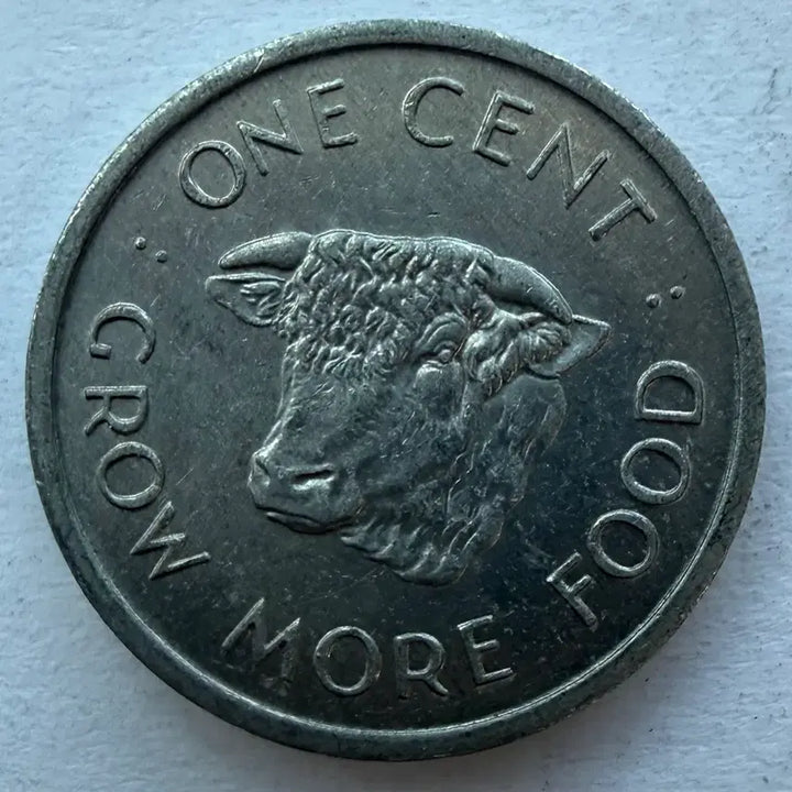 [BUNJANG] 1972 Seychelles 1 Cent Coin / 1972년 세이셸 1센트 동전 S2965
