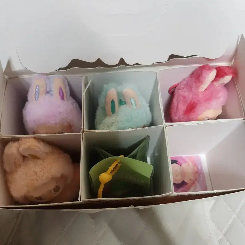 [BUNJANG] Labubu 5-Piece Genuine Set / 라부부 4개 정품 팝니다.