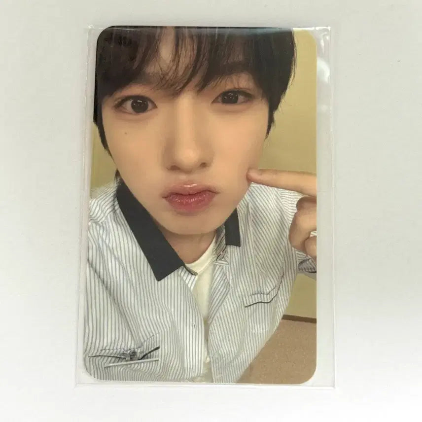 [BUNJANG] NCT WISH Everland Everwish 2nd Mission Sakurya POB Photocard / 엔시티위시 에버랜드 에버위시 2차 미션 포카 사쿠야 미공포