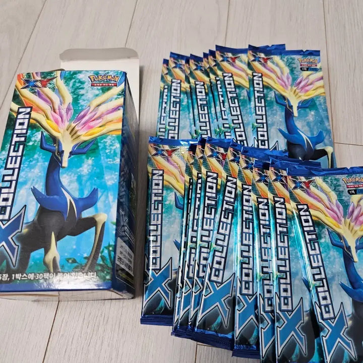 [BUNJANG] Pokemon Card Y Collection 1 Pack / 포켓몬카드 X collection 1팩