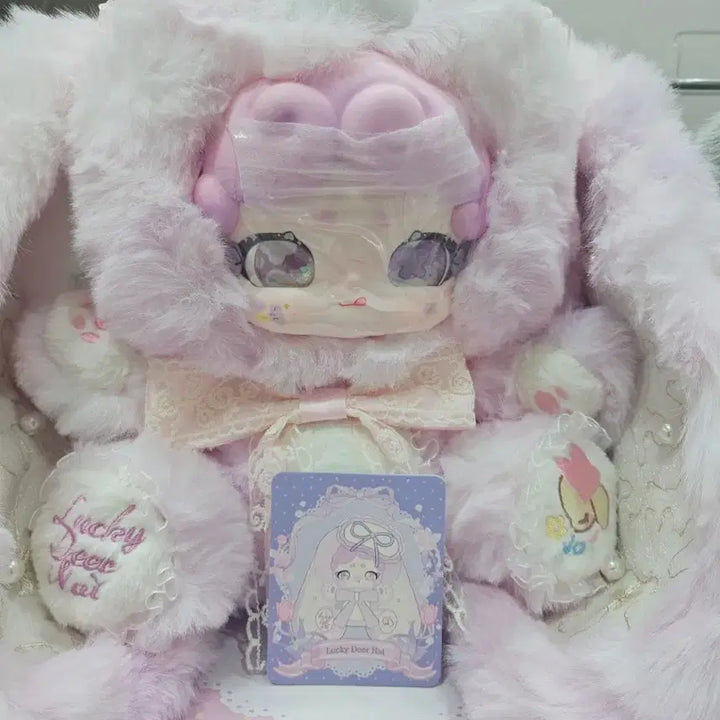 [BUNJANG] Bamtooki 600 Chic Gray, Pink / 밤토끼 600 시크 그레이, 핑크