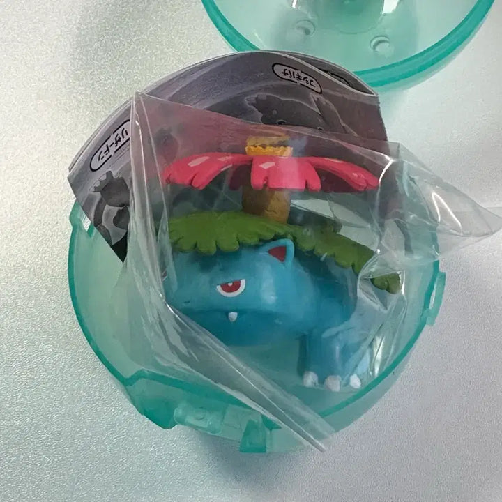 [BUNJANG] Pokemon Venusaur Figure Kantou Ippai Collection / 포켓몬스터 가챠 이상해꽃 피규어 간토 이빠이 컬렉션
