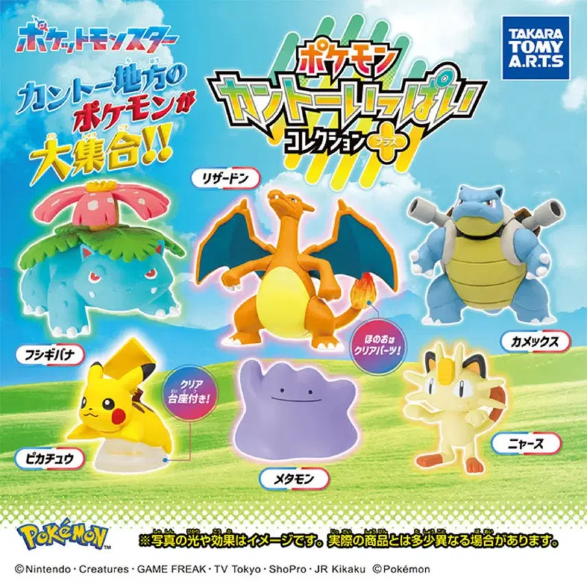 [BUNJANG] Pokemon Venusaur Figure Kantou Ippai Collection / 포켓몬스터 가챠 이상해꽃 피규어 간토 이빠이 컬렉션