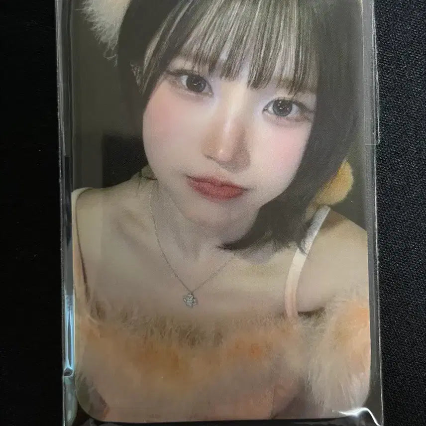 [BUNJANG] Fromis_9 Hayan Geurium Mini Fanmeeting Photocard Bundle Set / 프로미스나인 하얀그리움 미팬 포카 일괄