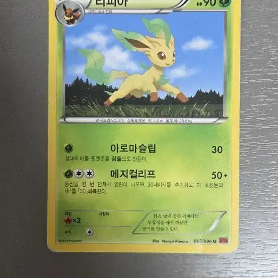 [BUNJANG] Pokemon Card Leafeon / 포켓몬 카드 리피아 (Leafeon)